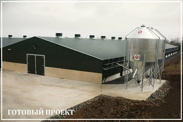 Этапы возведения птицефабрики от завода ВелесТент-элс